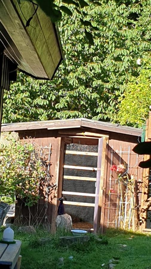 Ferienhaus Nr. 60 Im Ferienpark Am Twistesee Bad Arolsen Zewnętrze zdjęcie