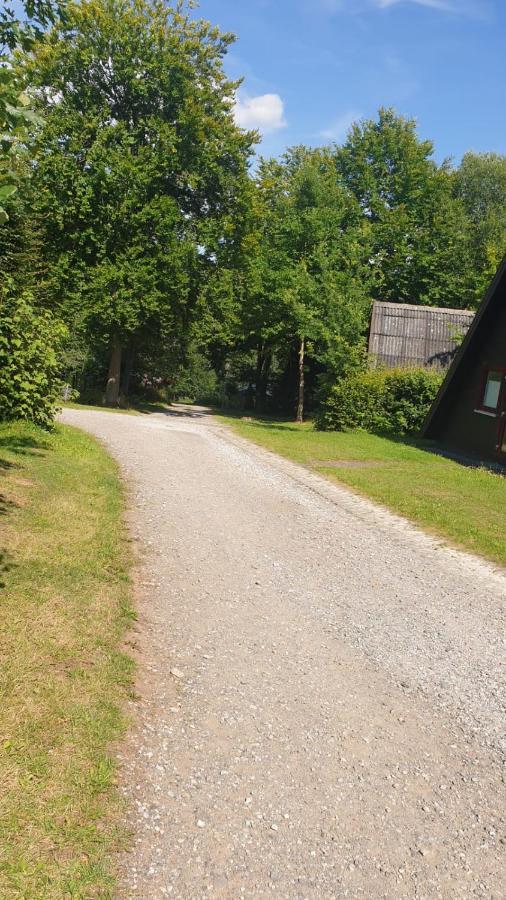 Ferienhaus Nr. 60 Im Ferienpark Am Twistesee Bad Arolsen Zewnętrze zdjęcie